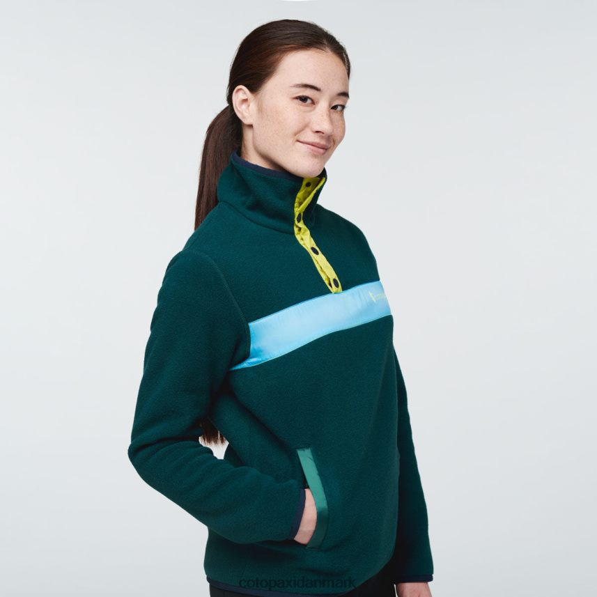 Cotopaxi teca fleece pullover Kvinder tøj svømmende 8FJ28H37