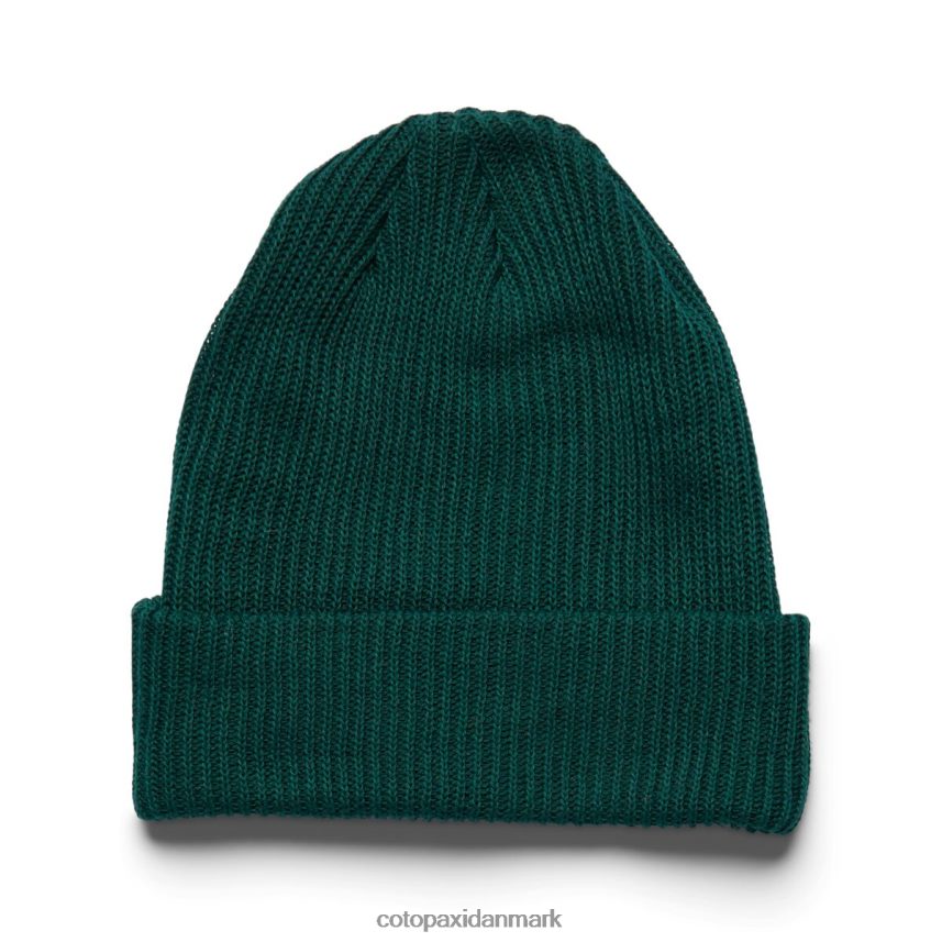 Cotopaxi wharf beanie unisex tilbehør Skov 8FJ28H182